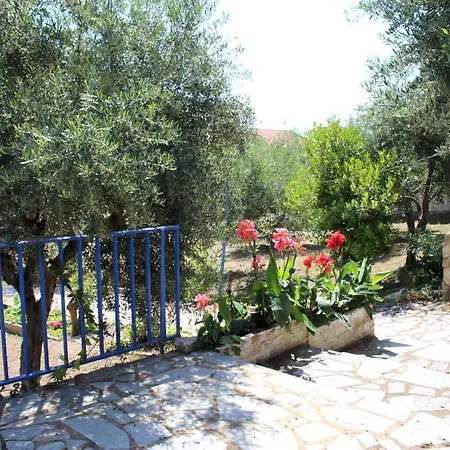 Paradies Nr 6