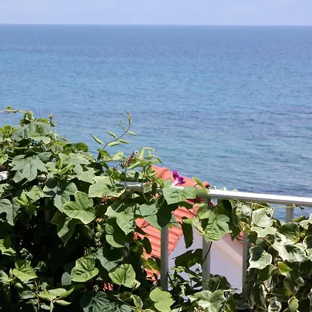 Paradies Nr 6 * Chrani